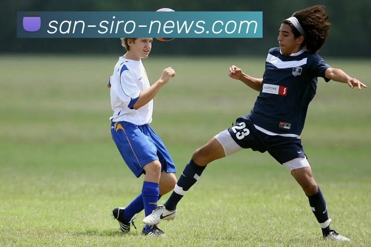 MILAN SPORT平台生态图